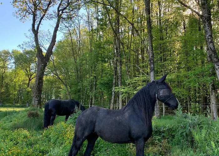 La Maison Des Chevaux * Saint-Vran