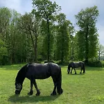 La Maison Des Chevaux *