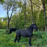 La Maison Des Chevaux * Saint-Vran