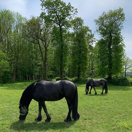 La Maison Des Chevaux *
