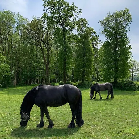 La Maison Des Chevaux Дом отдыха