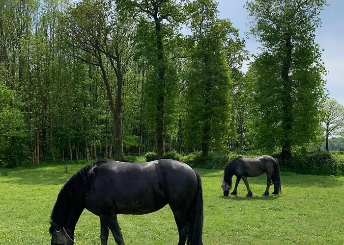 La Maison Des Chevaux *
